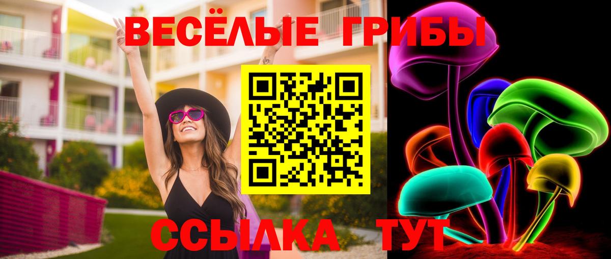 Жуковский  Галлюциногенные грибы ЛСД  Вход с VPN 