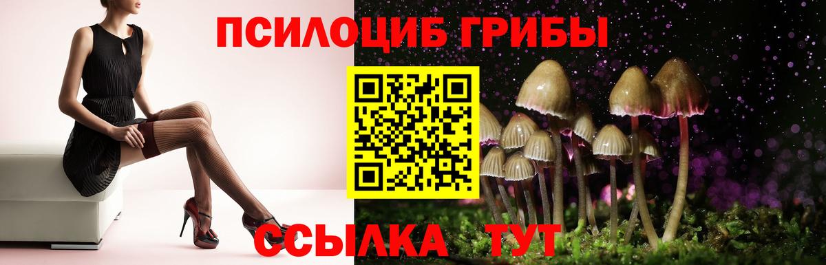 Галлюциногенные грибы Psilocybe Жуковский